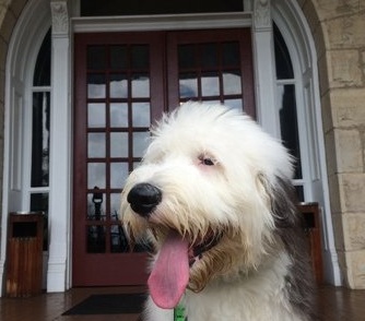 Pet Friendly Crescent Hotel