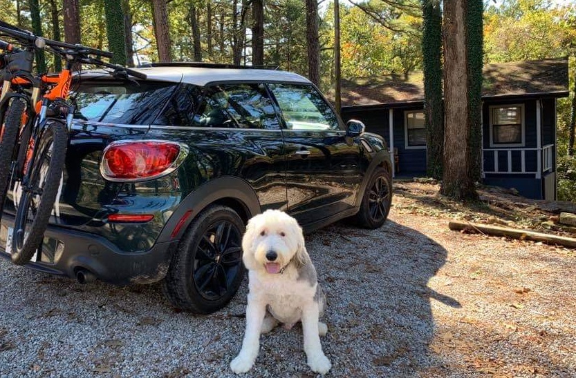 Loblolly Pines Adventure Camp is pet friendly