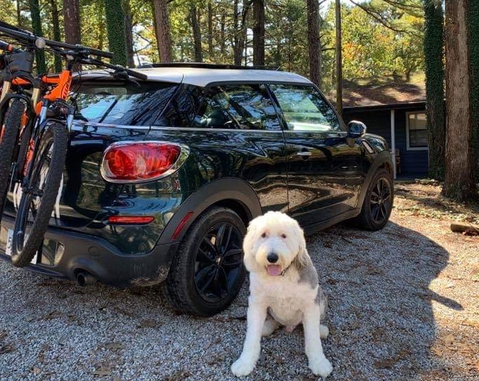 Loblolly Pines Adventure Camp is pet friendly