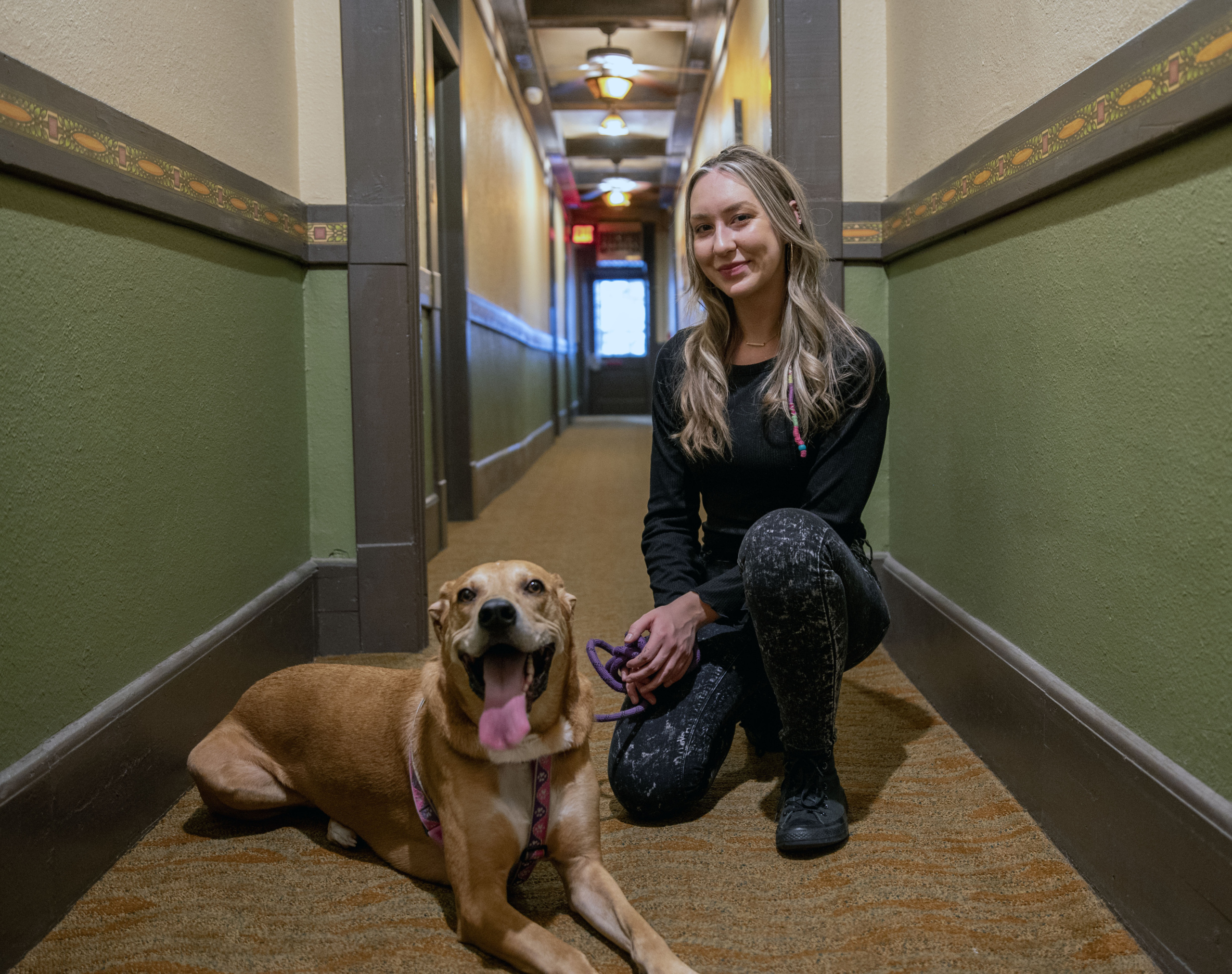 Basin Park Hotel is Pet Friendly